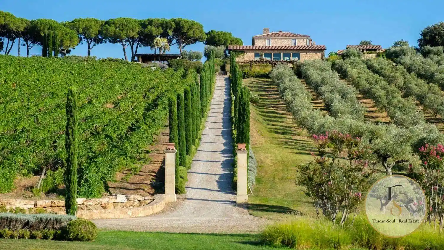 Villa unifamiliare 1360 m², Massa Marittima - foto 2