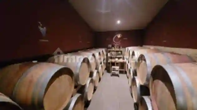 Palazzo - Stabile - foto 2