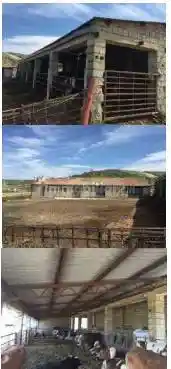 Appartamento all'asta via Vico San Tommaso, Bisignano - foto 4