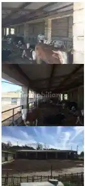 Appartamento all'asta via Vico San Tommaso, Bisignano - foto 5