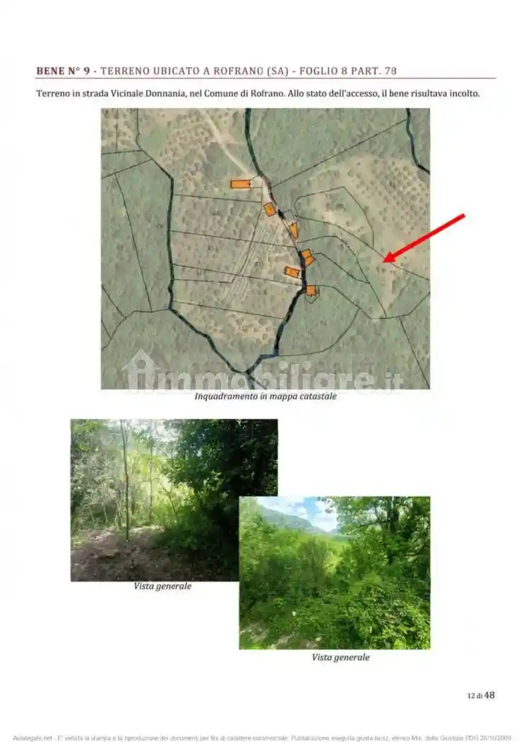 Rustico - Casale - foto 5