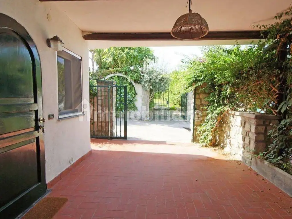 Appartamento in affitto a Forio