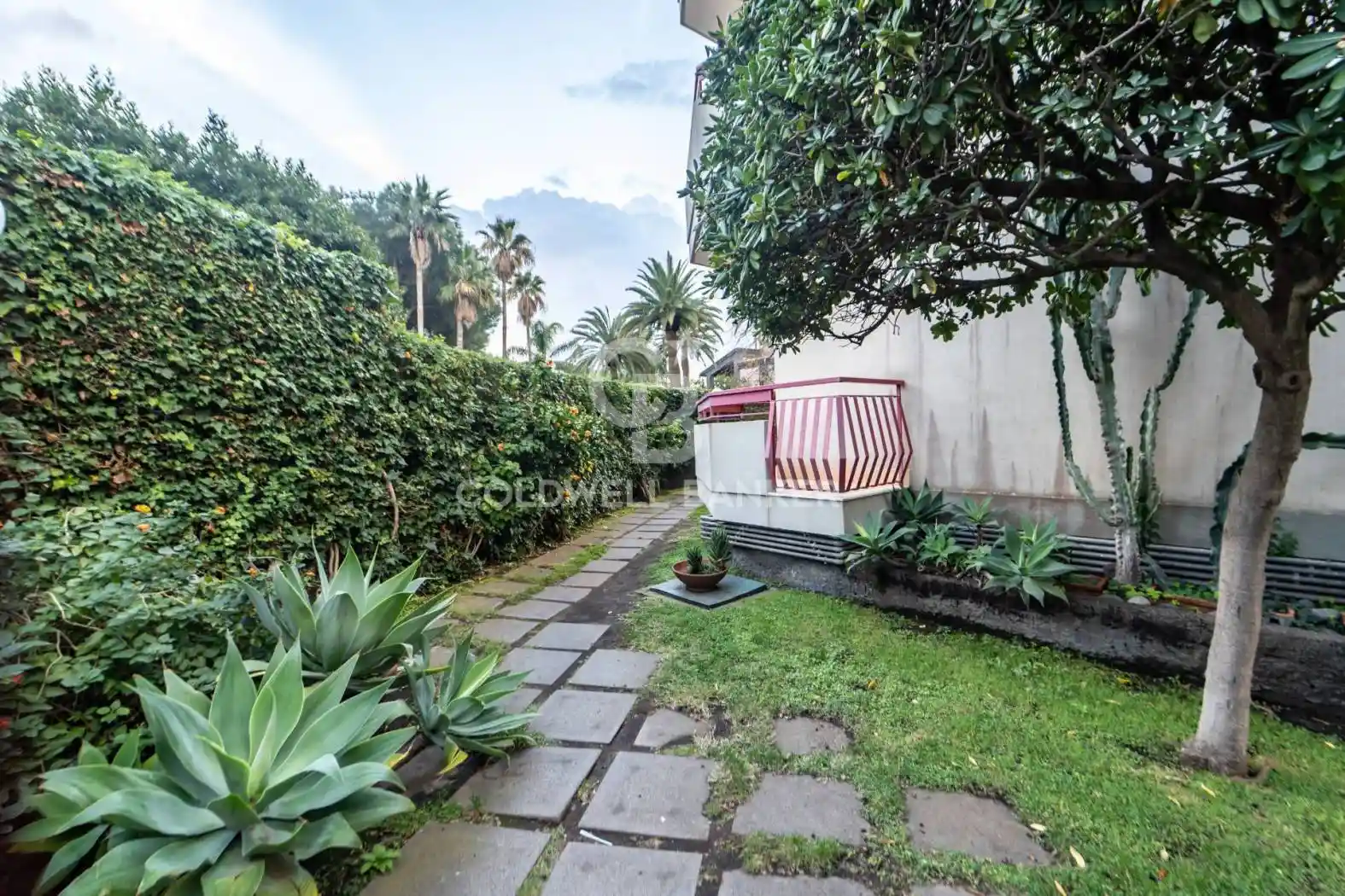 Appartamento in affitto a Acireale