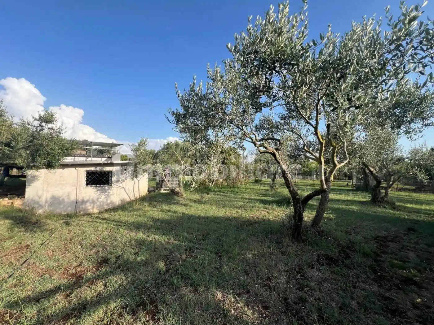 Rustico - Casale in vendita a Poli