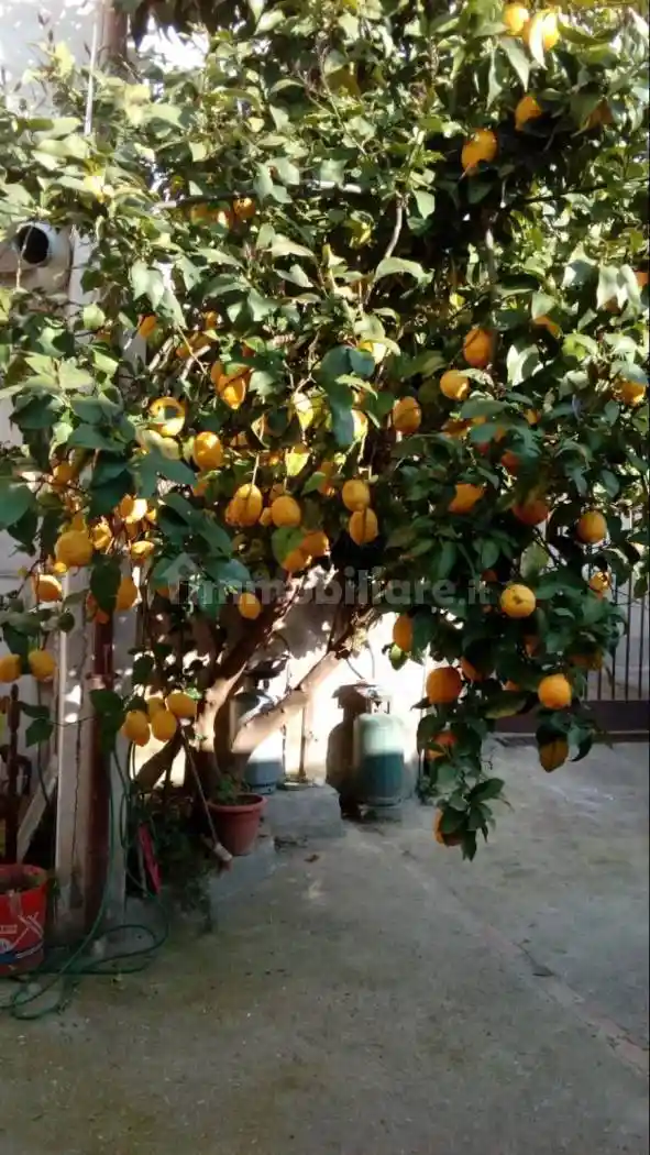 Rustico - Casale in vendita a Melizzano