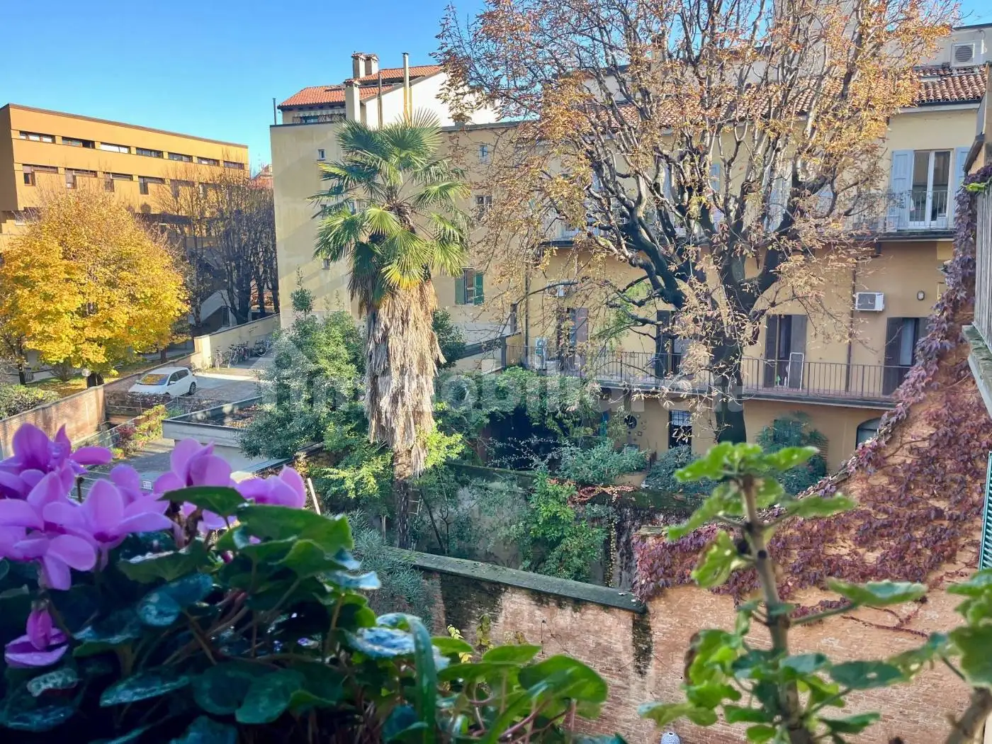 Appartamento in affitto a Bologna