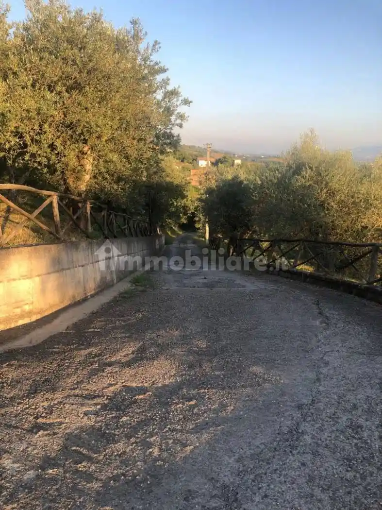 Casa colonica Contrada Santa Lucia 15, Apice - foto 4