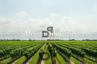 Rustico - Casale in vendita a Roè Volciano