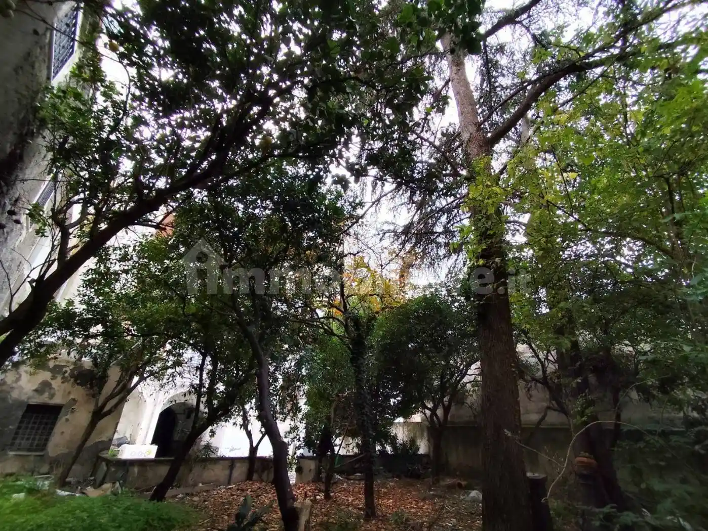 Palazzo - Edificio - foto 3