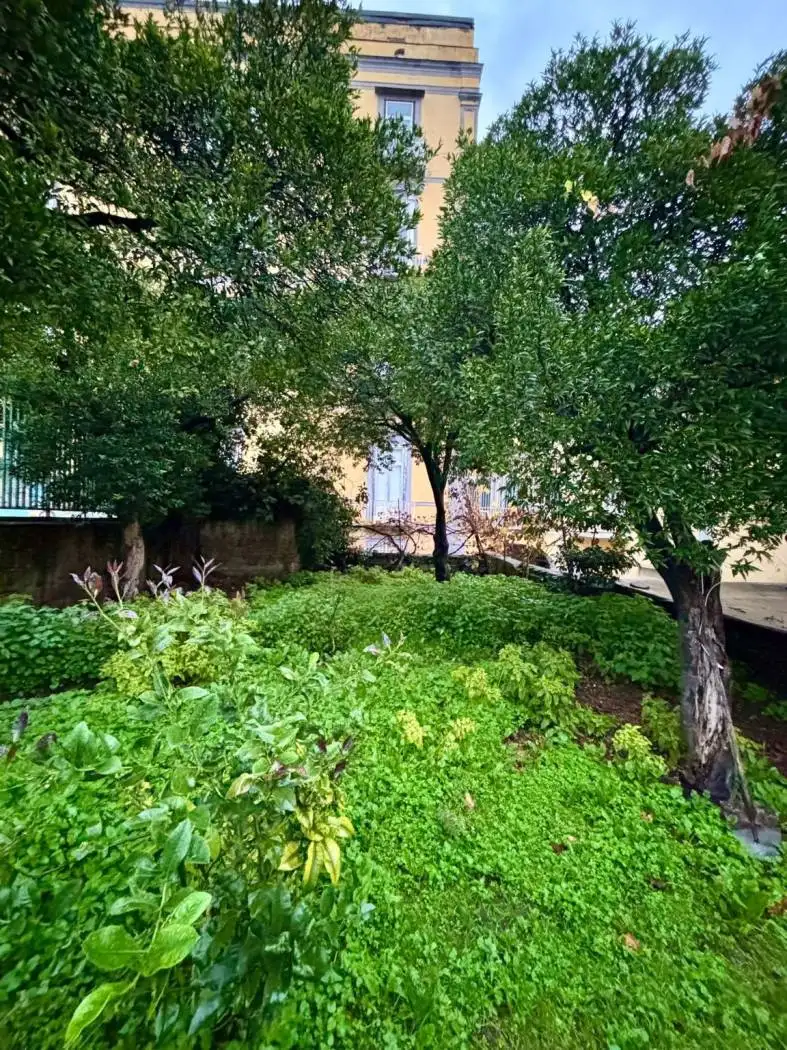 Appartamento in affitto a Napoli