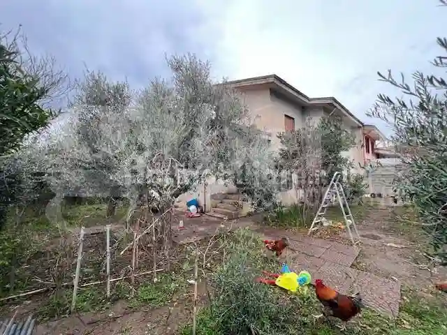 Casa indipendente - foto 3