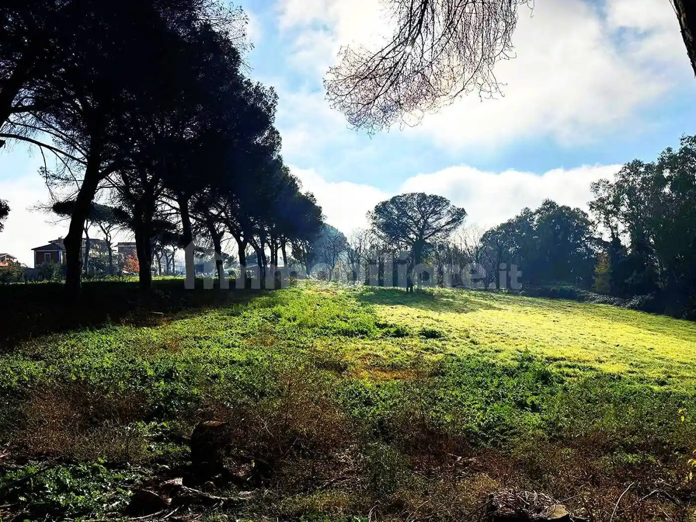 Casale via di Santa Cornelia 321, Valle Muricana, Roma - foto 2