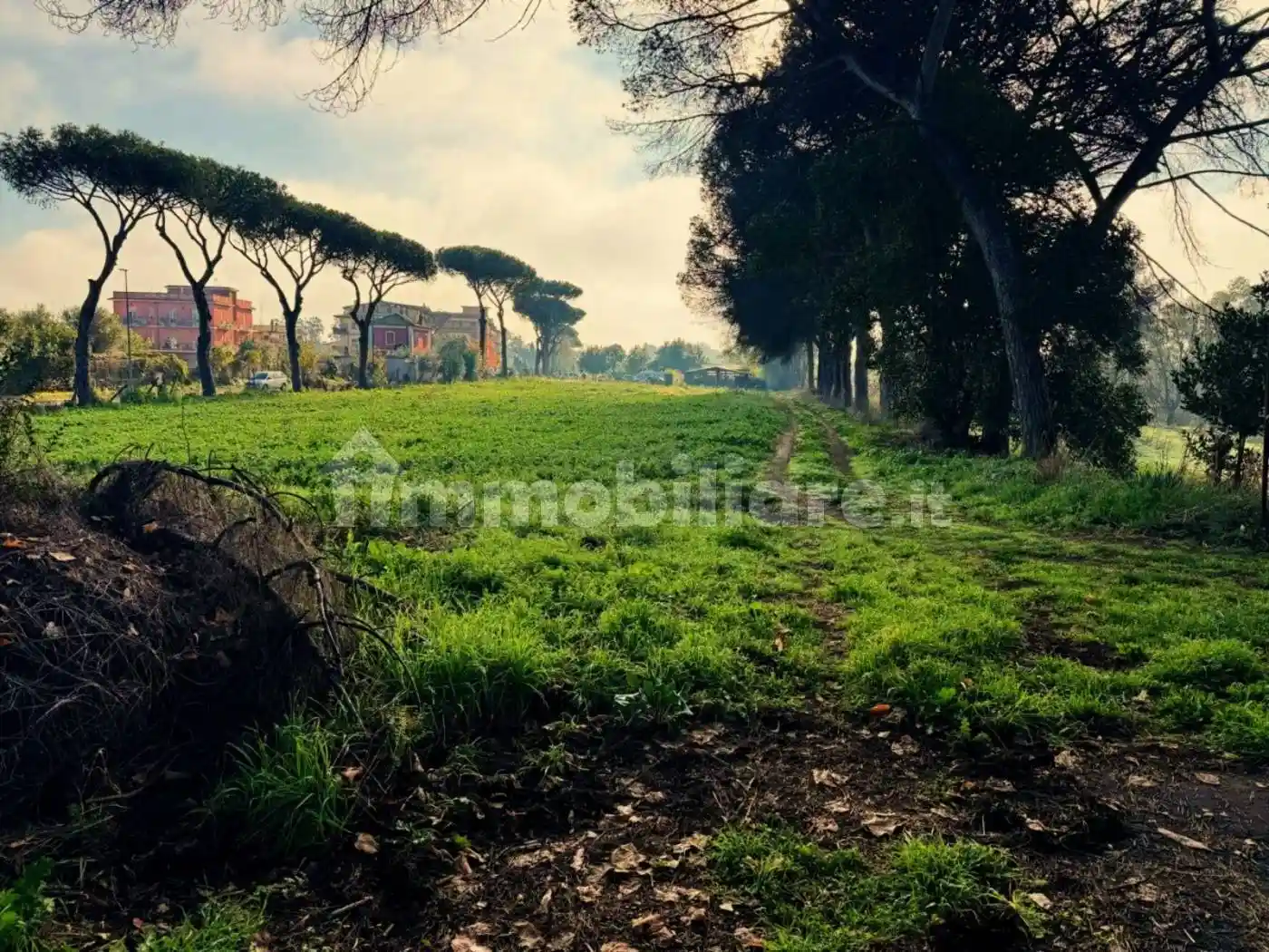 Casale via di Santa Cornelia 321, Valle Muricana, Roma - foto 3