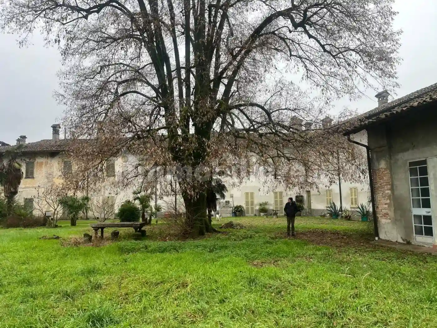 Palazzo - Edificio - foto 2