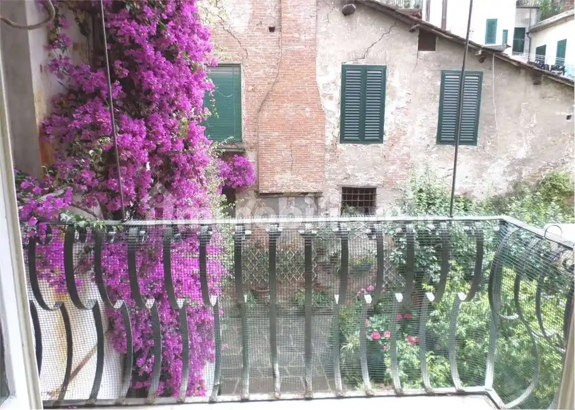 Appartamento in affitto a Lucca