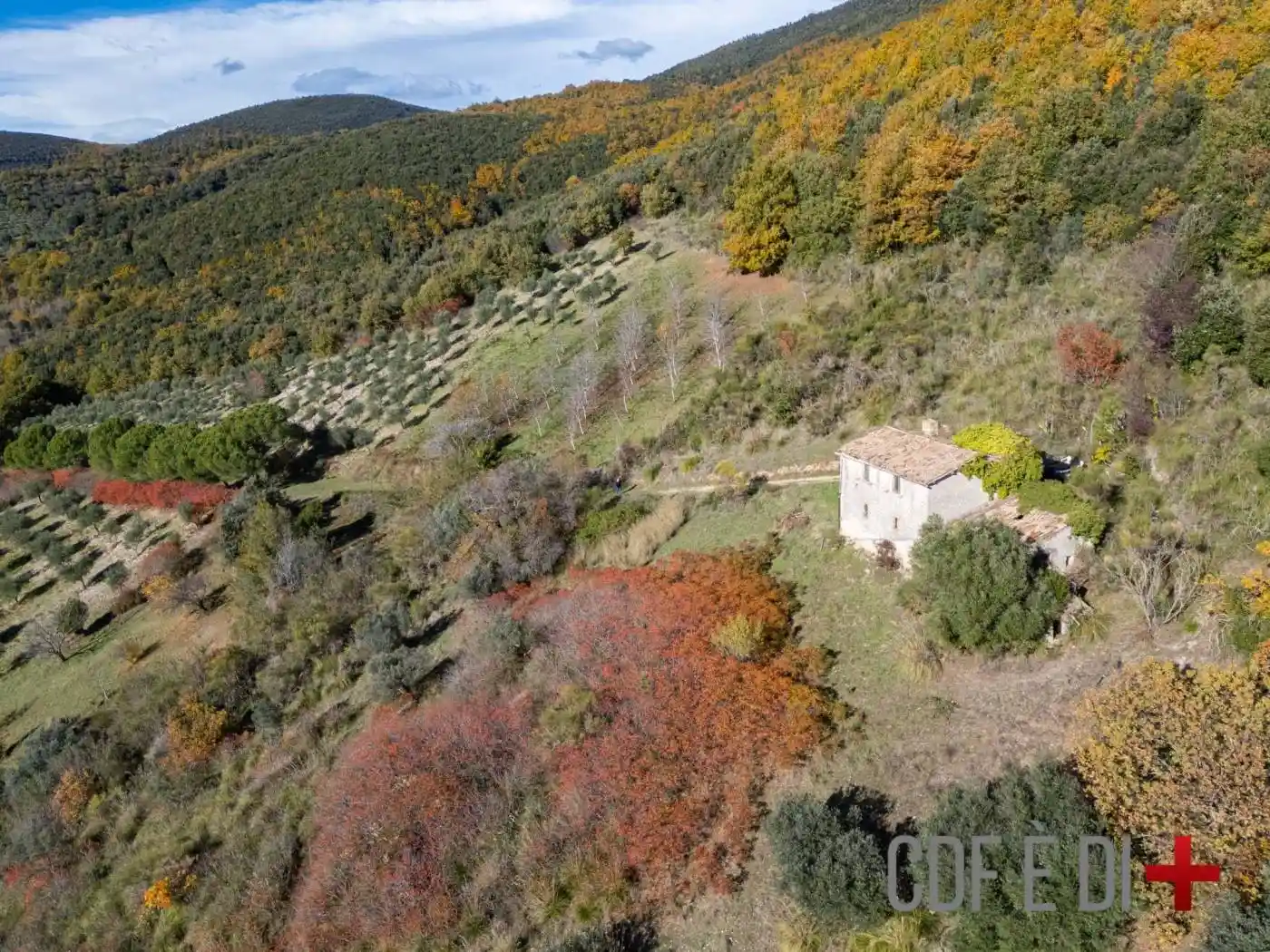 Rustico - Casale in vendita a Montopoli di Sabina