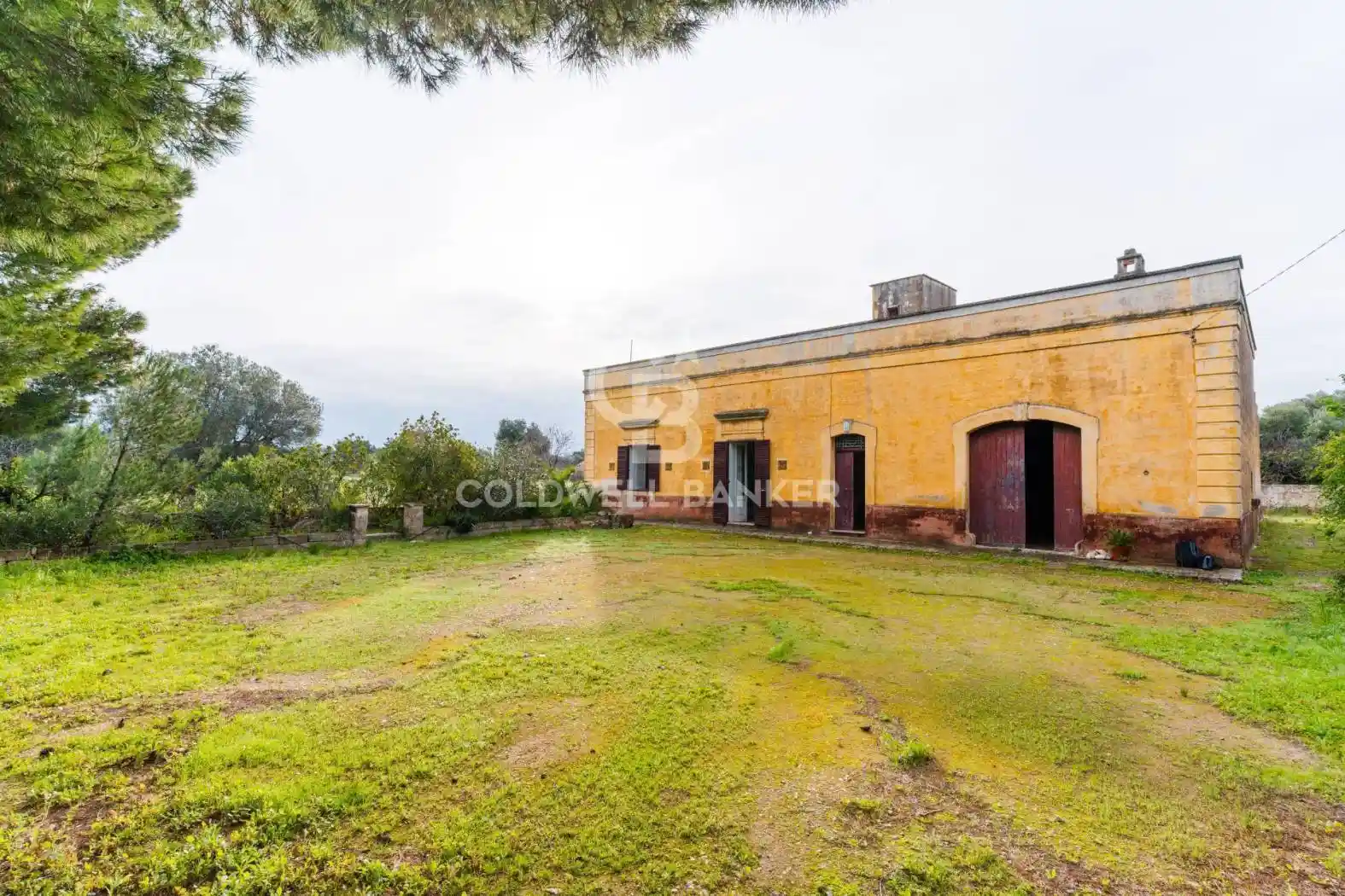 Rustico - Casale in vendita a Monopoli