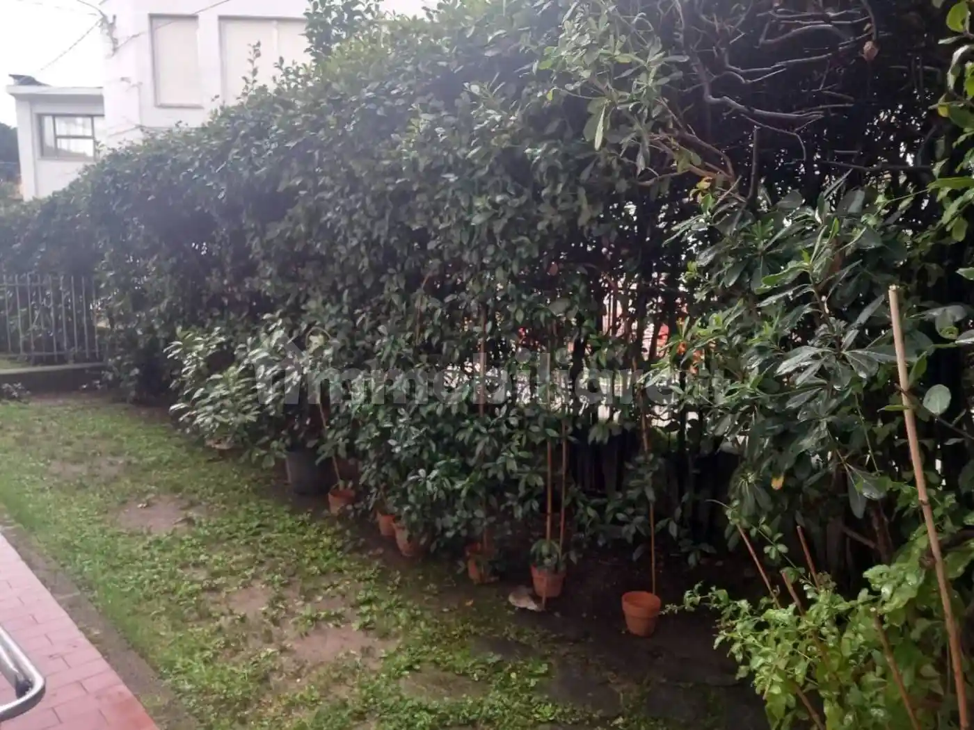 Appartamento in vendita a Massa