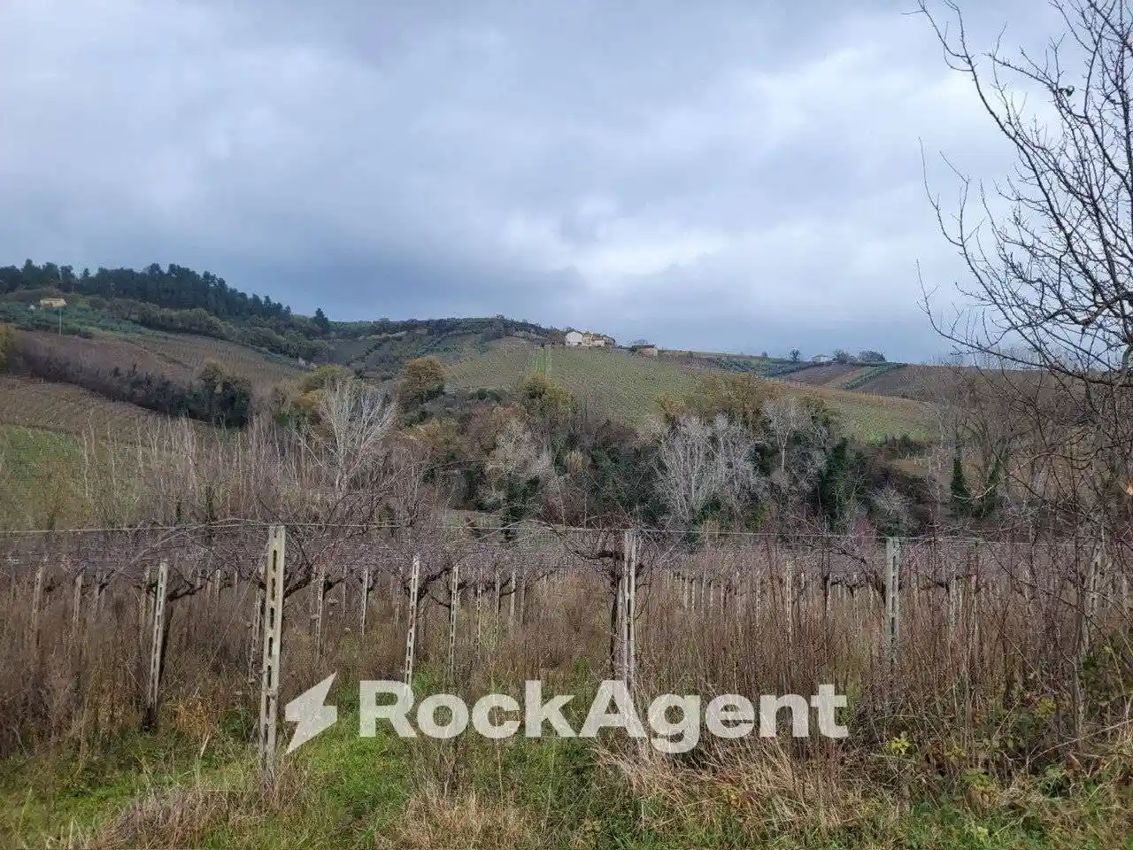 Casale Contrada Serepenne, Villamagna - foto 3