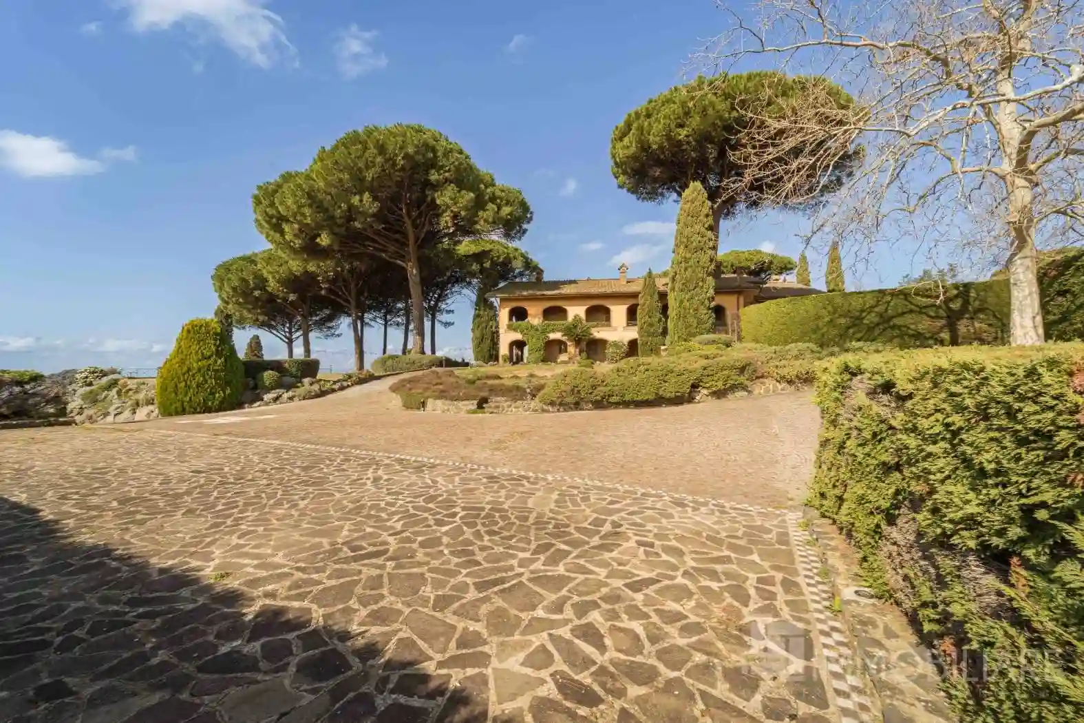 Palazzo - Edificio - foto 5