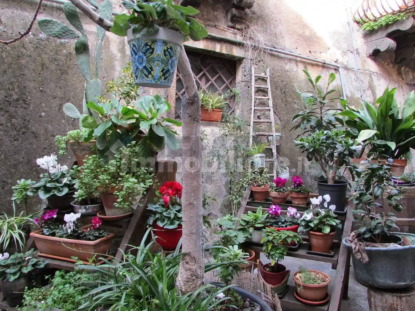 Villa in vendita a Bronte