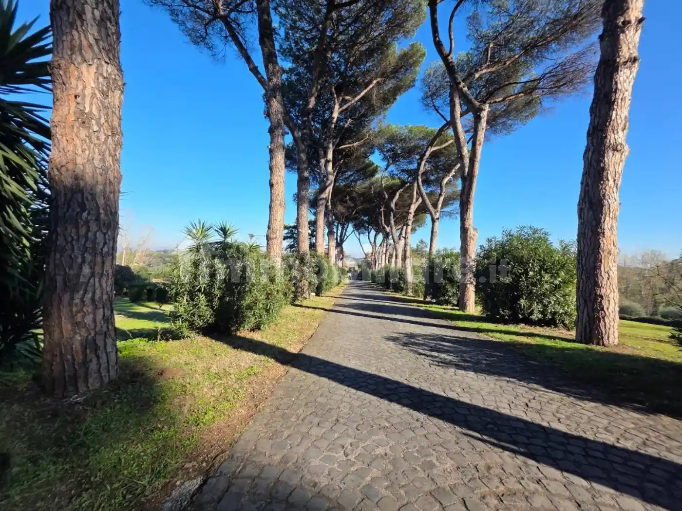 Villa in vendita a Roma