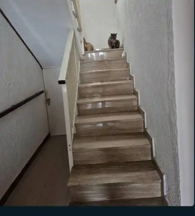 Appartamento all'asta di Camillo Attilio, Monteodorisio - foto 5