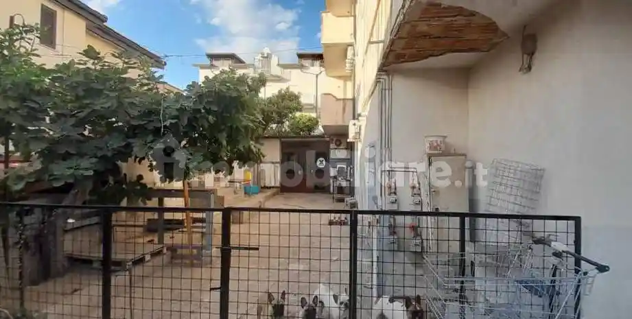 Appartamento all'asta Gioacchino da Fiore, Satriano - foto 5