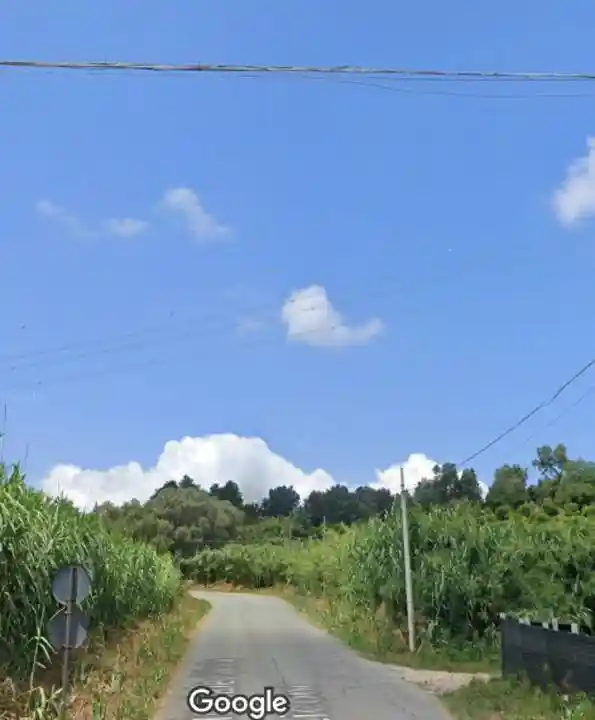 Villa all'asta Contrada San Leo, Rizziconi - foto 2