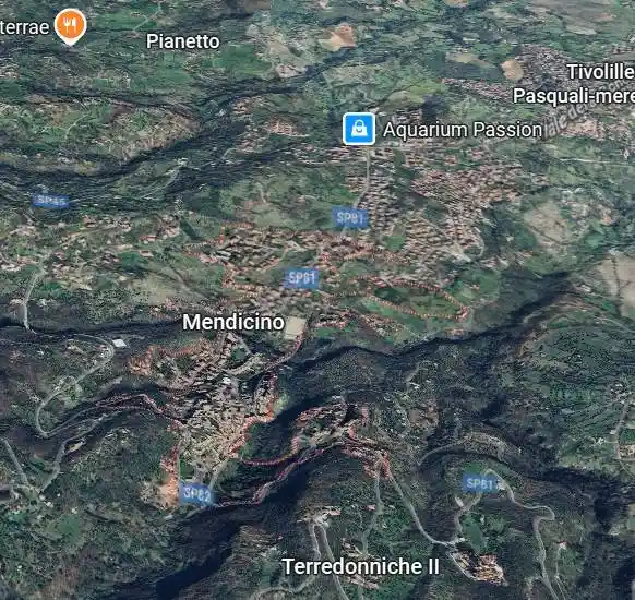 Appartamento all'asta corso Umberto I, Mendicino - foto 4