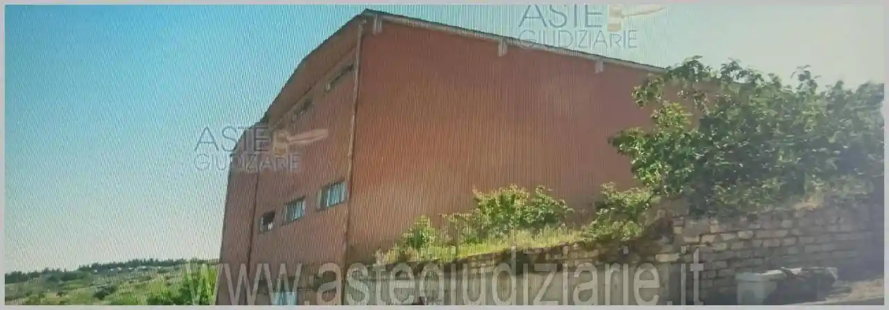 Appartamento all'asta Regina Margherita, Ripacandida - foto 4