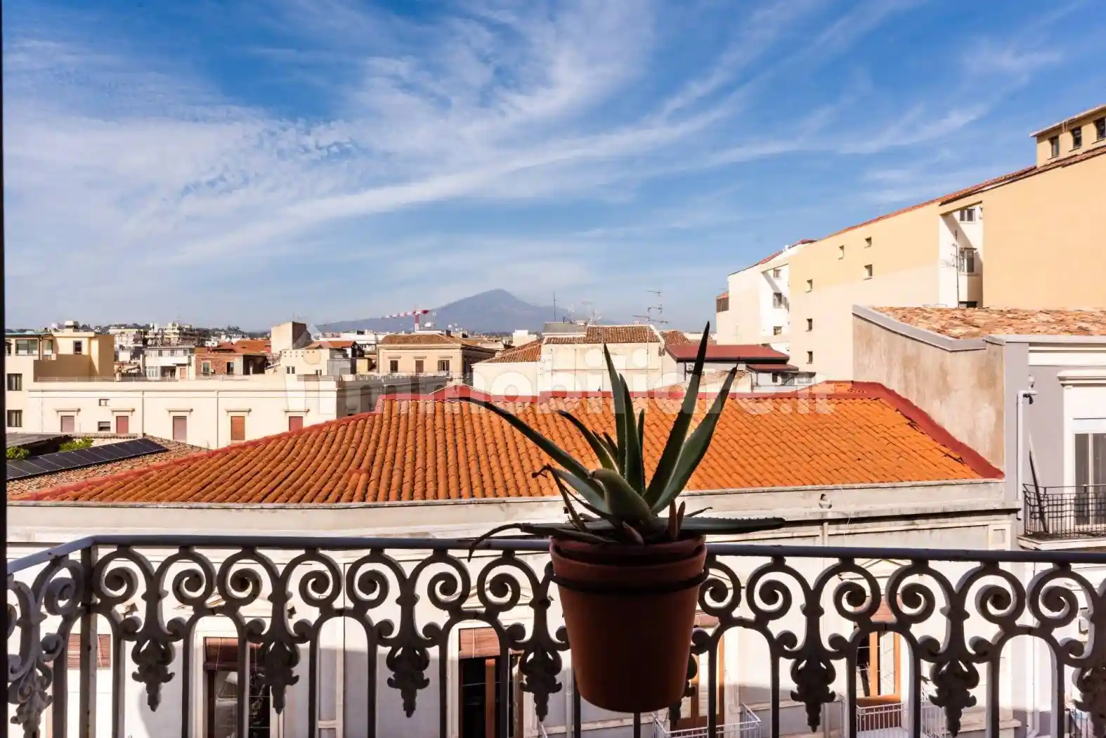 Appartamento in affitto a Catania