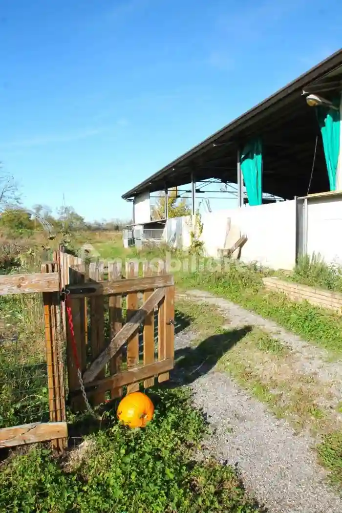 Palazzo - Edificio - foto 4