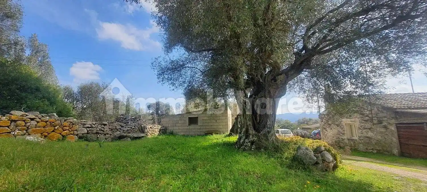 Rustico - Casale in vendita a Monti