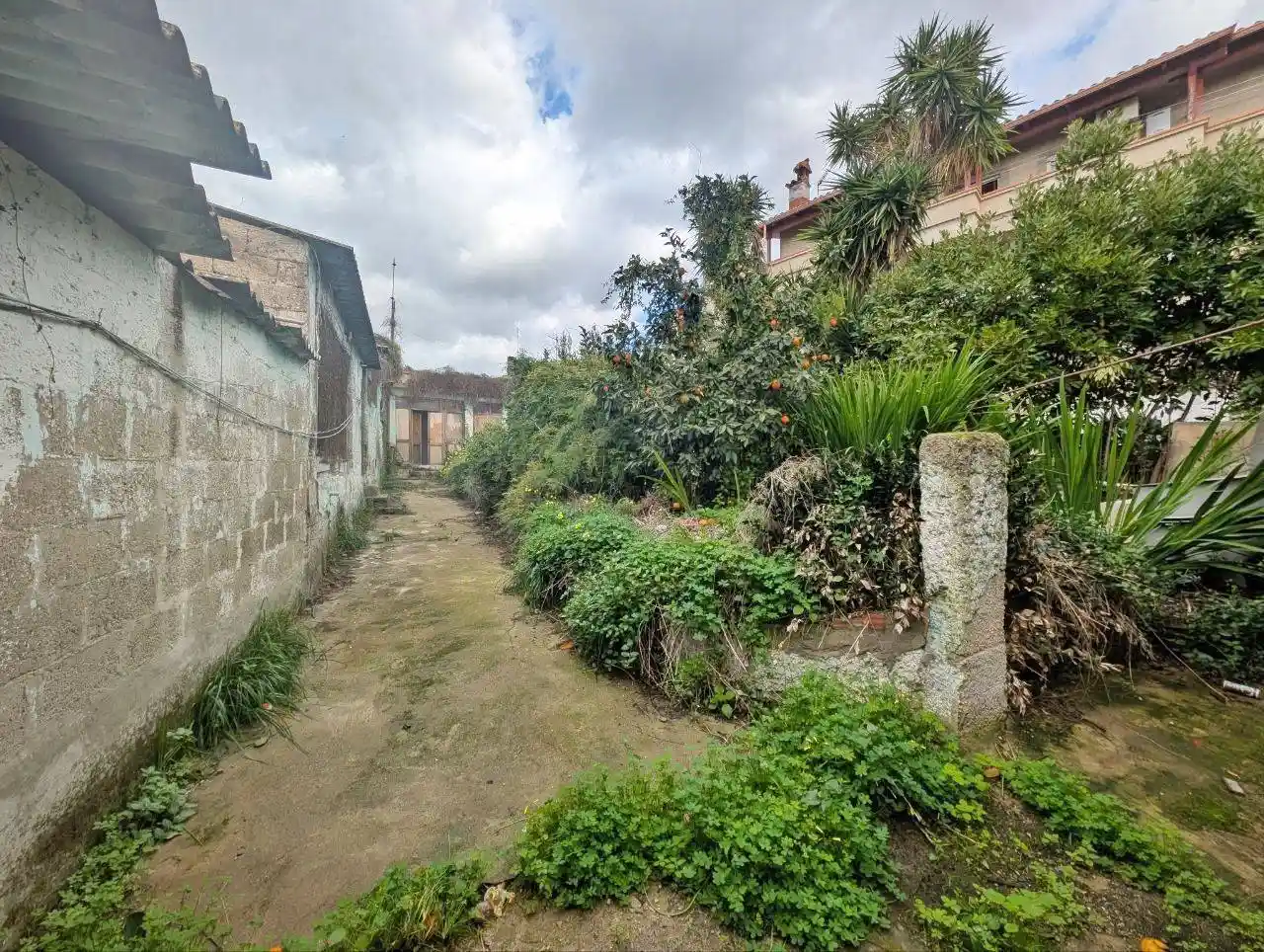 Rustico - Casale in vendita a Monastir