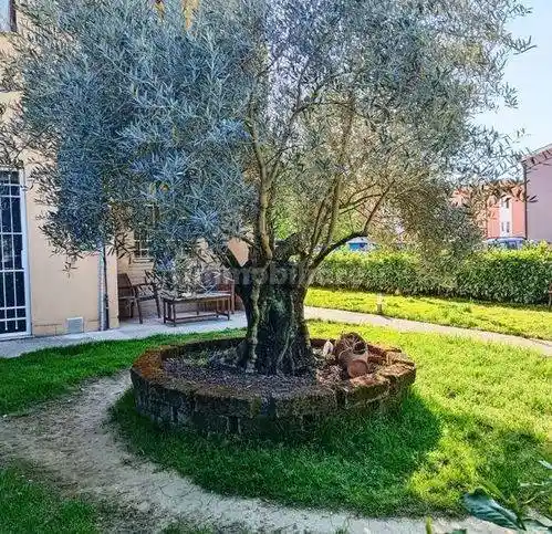 Appartamento in vendita a Fermignano