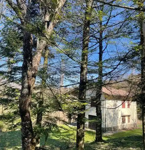 Rustico - Casale in vendita a Borgo Pace