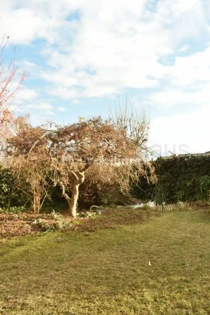 Villetta a schiera in vendita a Terlano