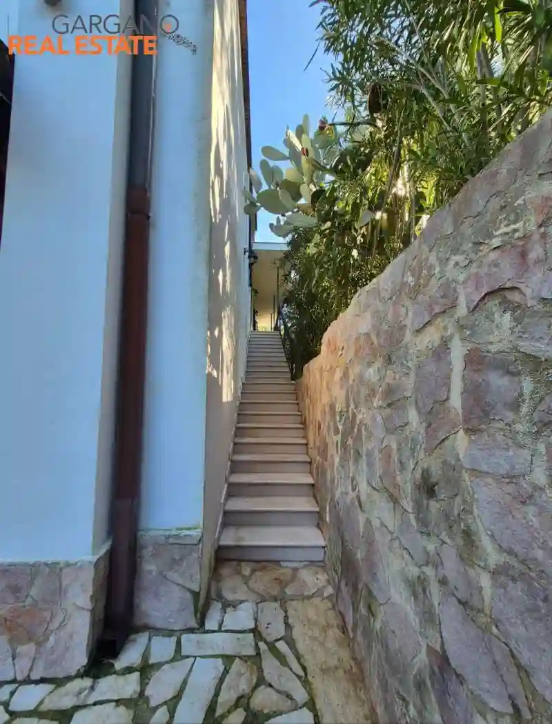 Palazzo - Edificio - foto 4