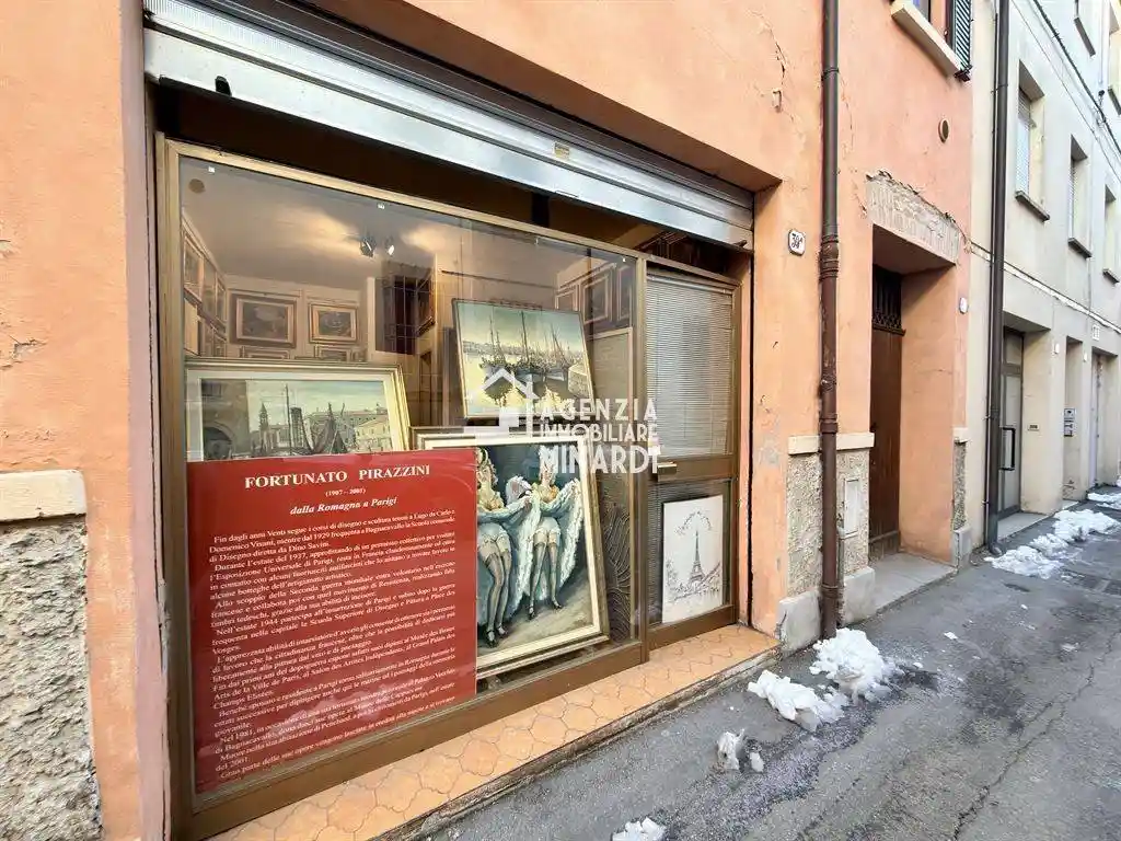 Casa indipendente in vendita a Bagnacavallo