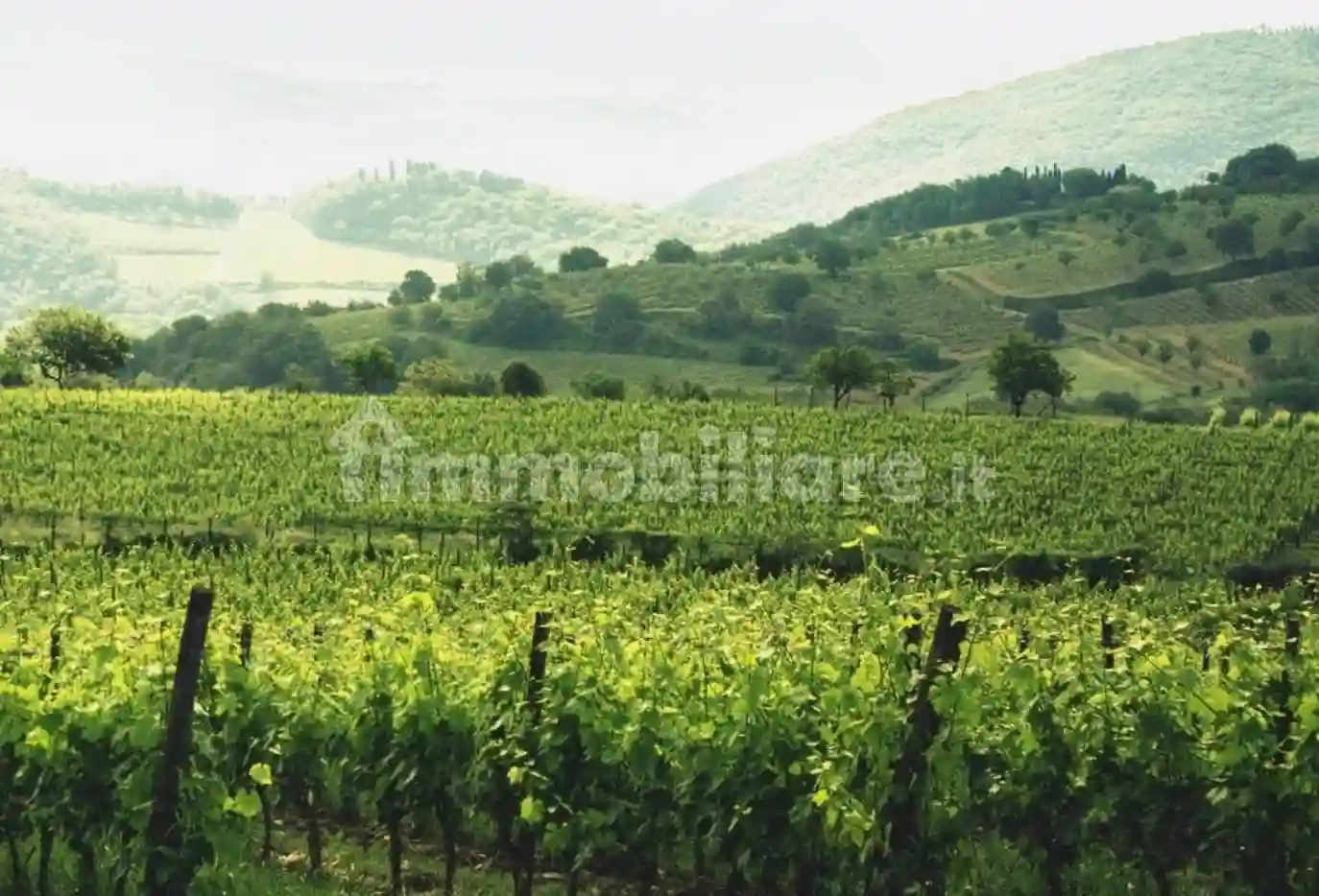 Rustico - Casale - foto 5