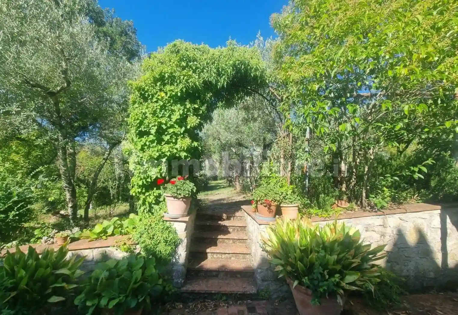 Rustico - Casale - foto 5