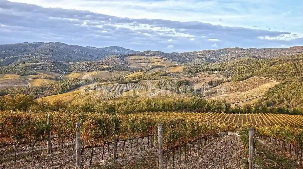 Rustico - Casale - foto 4