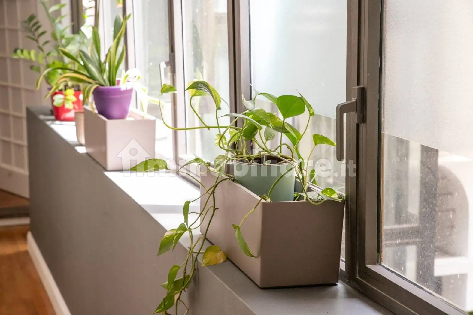 Appartamento in affitto a Roma