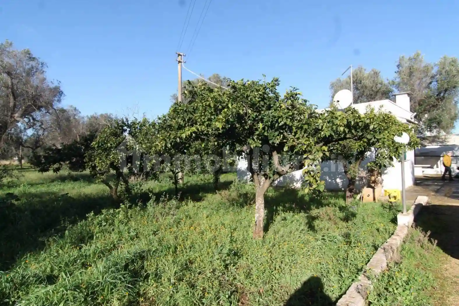Rustico - Casale - foto 2