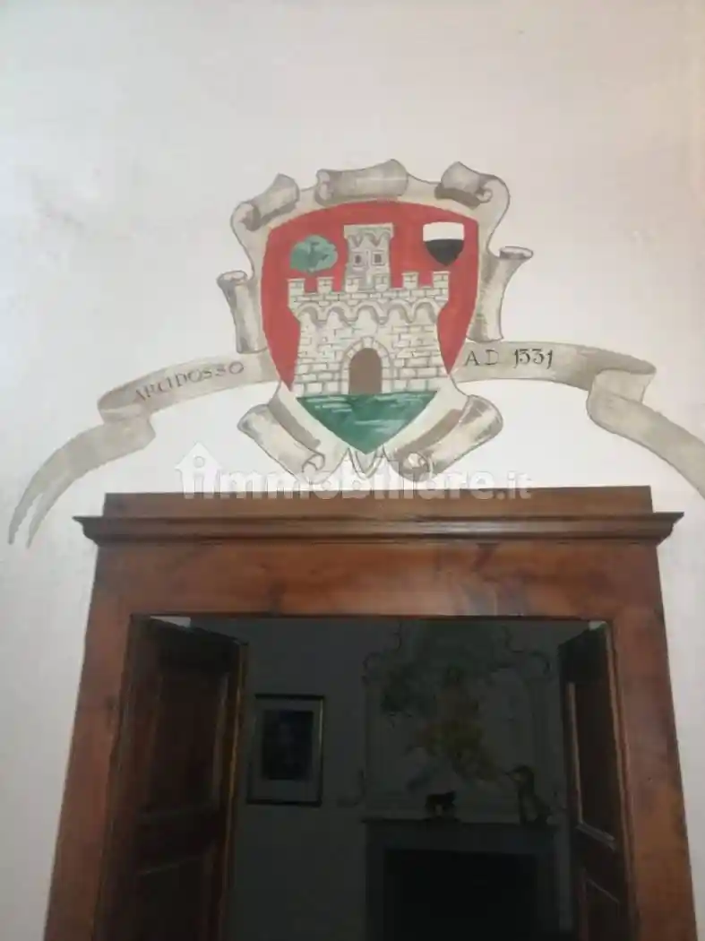 Appartamento in vendita a Arcidosso