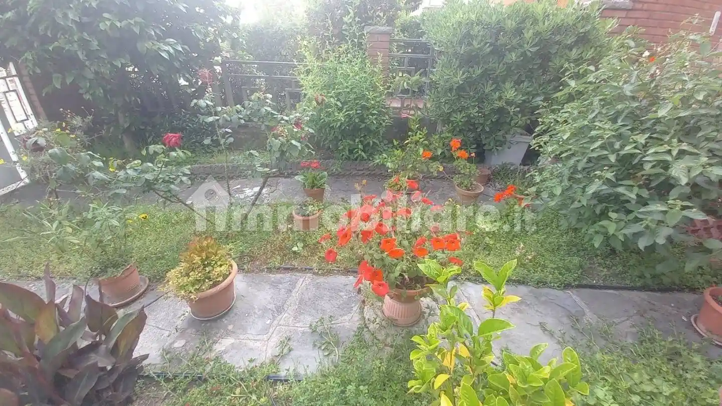 Villetta a schiera in affitto a Camaiore