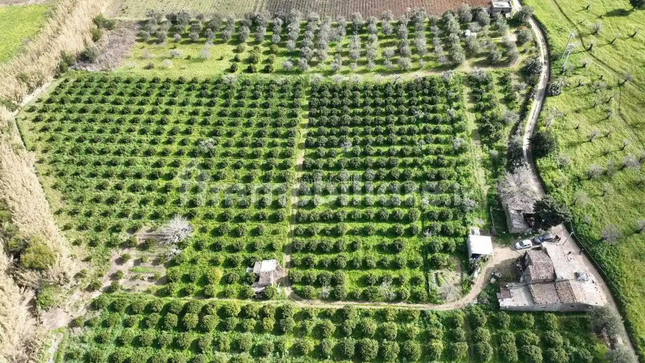 Casa indipendente in vendita a Noto
