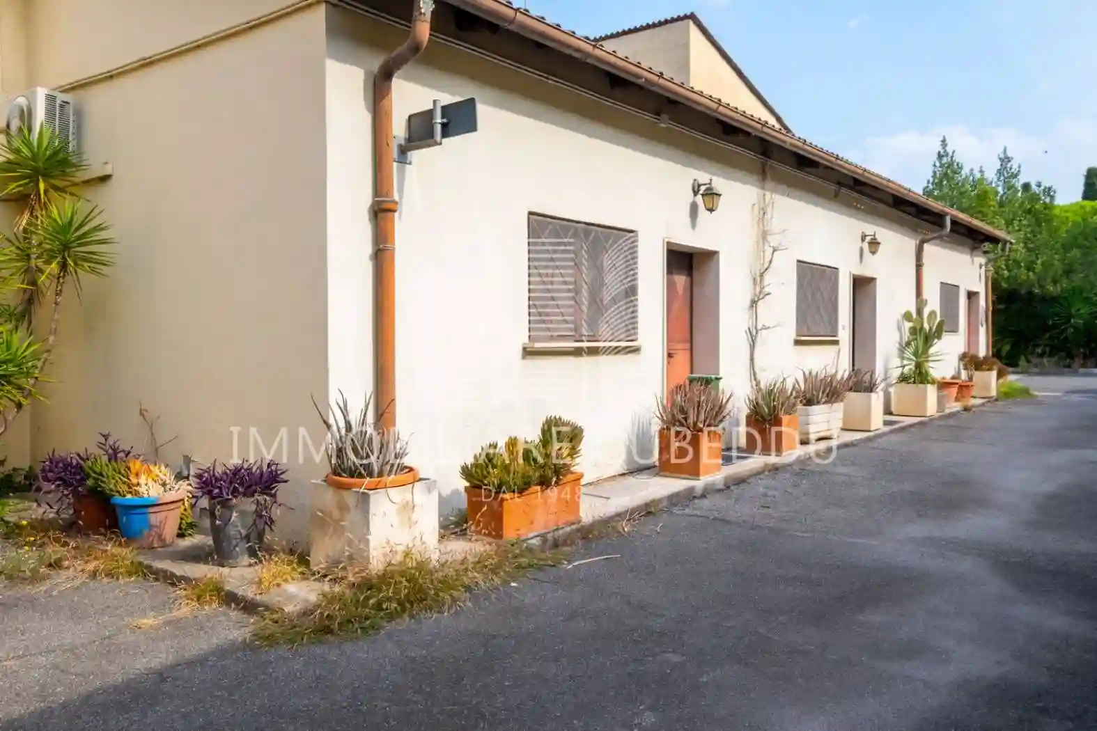 Palazzo - Edificio - foto 3