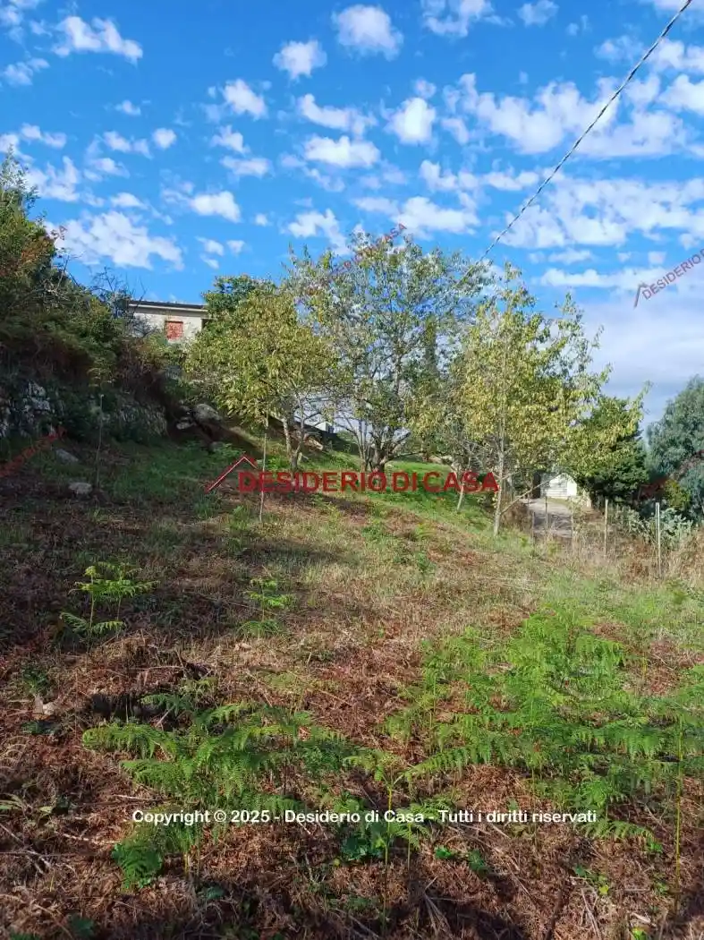 Villa in vendita a Tusa